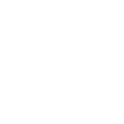 Vehicle Inspection